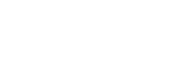 Leadership-Brands-600